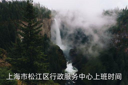 上海市松江區行政服務中心上班時間