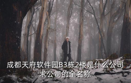 成都天府軟件園B3棟2樓是什么公司求公司的全名稱