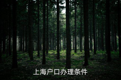 取得上海戶口的條件，要取得上海戶口需要哪些條件