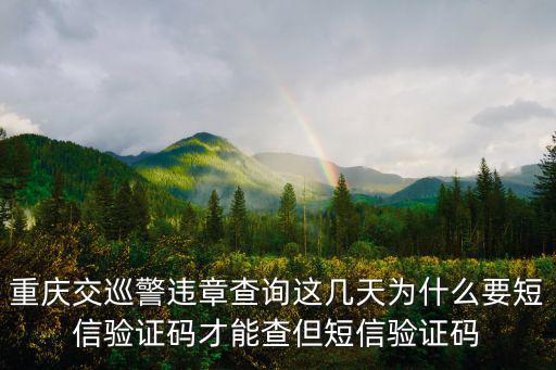 重慶交巡警違章查詢這幾天為什么要短信驗證碼才能查但短信驗證碼