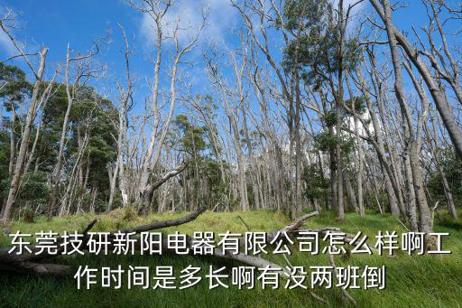 東莞技研新陽招普工嗎，東莞橋頭新陽廠招工嗎