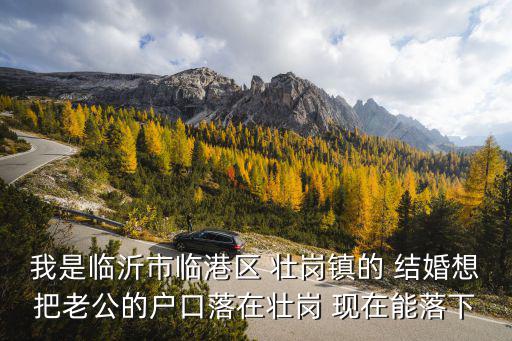 臨港最新落戶政策，買臨港泥城苑可以落上海戶口嗎聽說買臨港的住宅落戶有積分現(xiàn)在