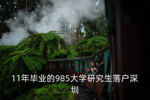 11年畢業(yè)的985大學研究生落戶深圳