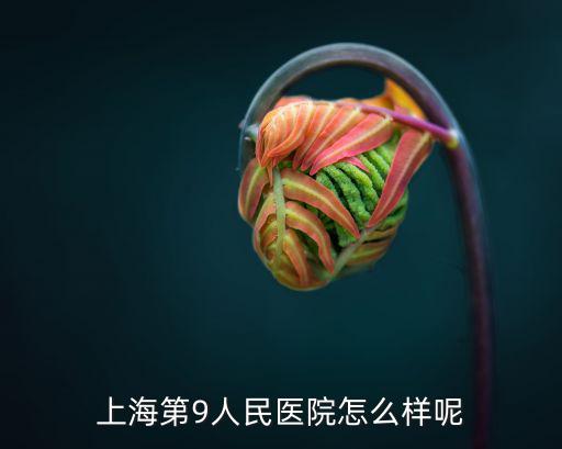 上海第9人民醫(yī)院怎么樣呢