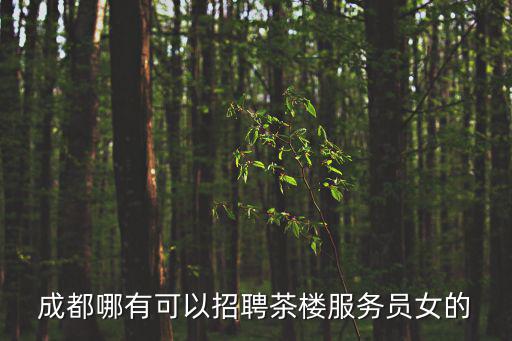 成都哪有可以招聘茶樓服務(wù)員女的