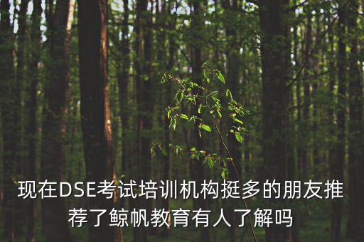 深圳鯨帆教育學費，深圳一對一教育機構收費都是怎樣的