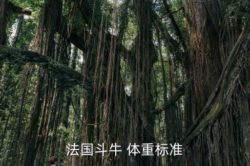 法牛5個月正常呼吸多少錢，大神們幫我看看這只法牛值多少錢