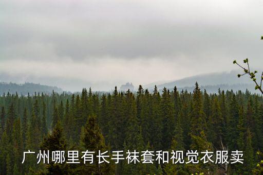  廣州哪里有長手襪套和視覺衣服賣