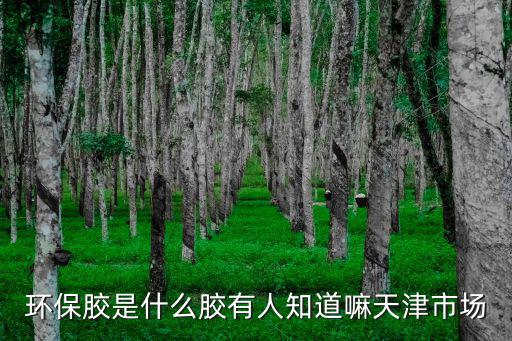 環保膠是什么膠有人知道嘛天津市場