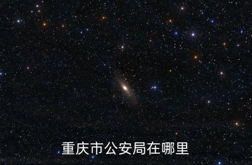 重慶市公安局在哪里
