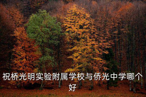 祝橋光明實驗附屬學校與僑光中學哪個好