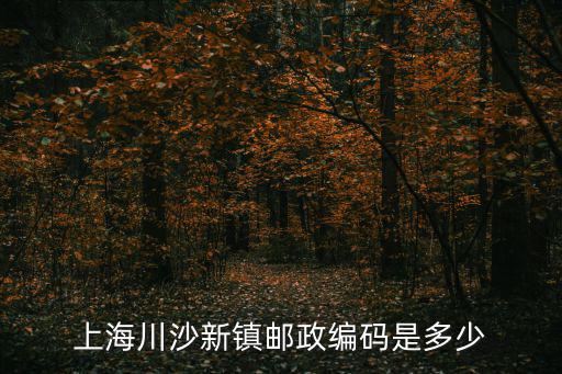 上海市浦東新區川沙新鎮郵政，上海川沙新鎮郵政編碼是多少