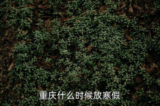 重慶什么時候放寒假