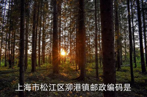 上海市松江區泖港鎮郵政編碼是