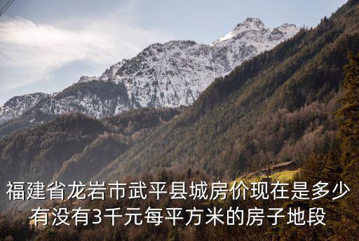 福建省龍巖市武平縣城房價現在是多少有沒有3千元每平方米的房子地段