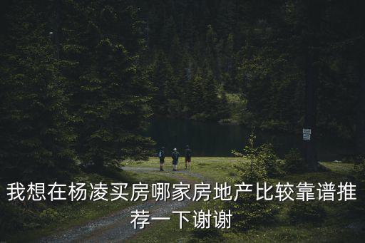 我想在楊凌買房哪家房地產比較靠譜推薦一下謝謝