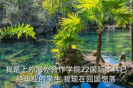 本科留學生上海落戶條件2020，我是上外海外合作學院22國際本科已經畢業的學生 我現在回國想落