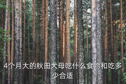 4個月大的秋田犬母吃什么食物和吃多少合適