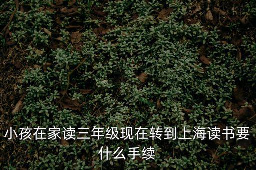 小孩在家讀三年級(jí)現(xiàn)在轉(zhuǎn)到上海讀書要什么手續(xù)