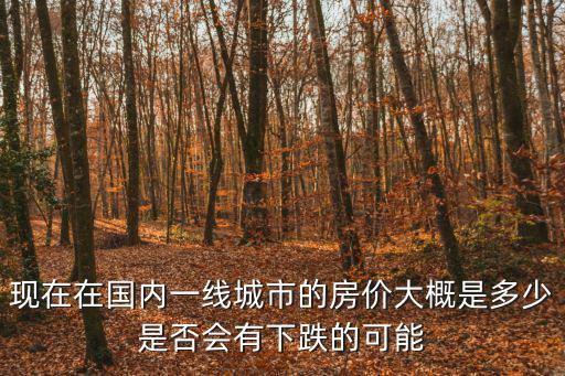 現(xiàn)在在國(guó)內(nèi)一線城市的房?jī)r(jià)大概是多少是否會(huì)有下跌的可能