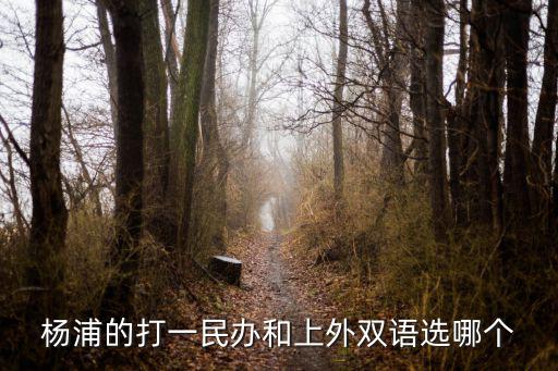 楊浦上外雙語學(xué)校，上海楊浦區(qū)民辦上外雙語學(xué)校和民辦打一外國(guó)語小學(xué)哪個(gè)好