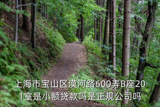 上海市寶山區(qū)漠河路600弄B座201室是小額貸款嗎是正規(guī)公司嗎