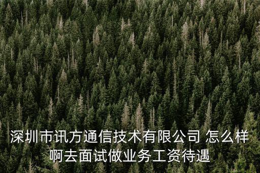深圳市訊方通信技術(shù)有限公司 怎么樣啊去面試做業(yè)務(wù)工資待遇