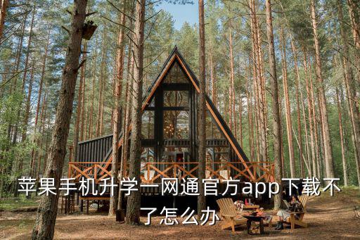 蘋果手機升學(xué)一網(wǎng)通官方app下載不了怎么辦