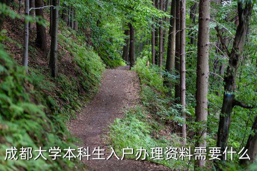 成都大學本科生入戶辦理資料需要什么