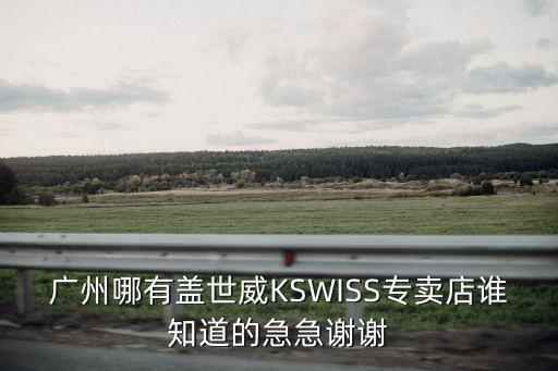 廣州哪有蓋世威KSWISS專賣店誰知道的急急謝謝