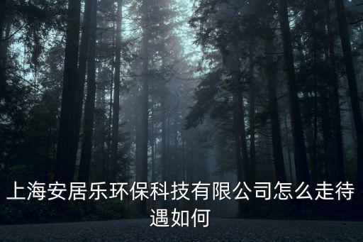 上海安居樂環保科技有限公司怎么走待遇如何