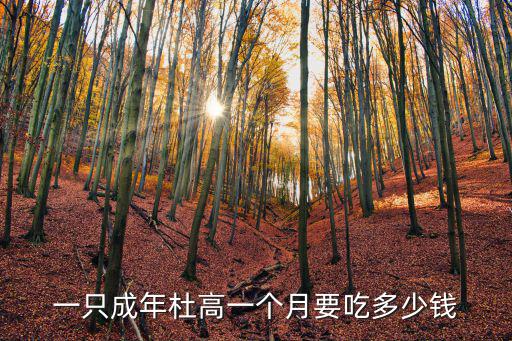 一年杜高多少錢一只，一只成年杜高一個月要吃多少錢