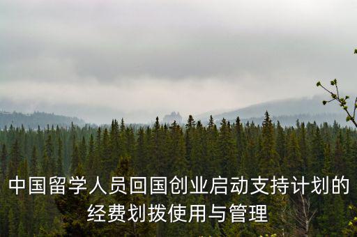 中國(guó)留學(xué)人員回國(guó)創(chuàng)業(yè)啟動(dòng)支持計(jì)劃的經(jīng)費(fèi)劃撥使用與管理
