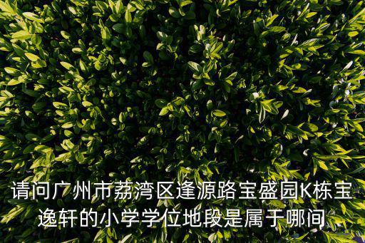 請問廣州市荔灣區逢源路寶盛園K棟寶逸軒的小學學位地段是屬于哪間