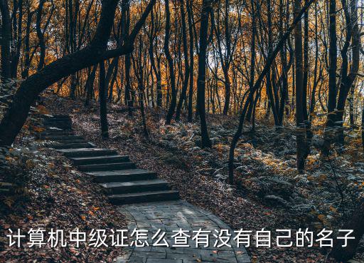 計算機中級證怎么查有沒有自己的名子