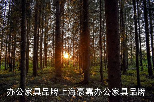 辦公家具品牌上海豪嘉辦公家具品牌