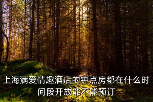 上海市第六人民醫院附近賓館鐘點房，請問在虹橋機場等飛機不知附近哪里有鐘點房多謝
