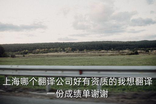 上海具有翻譯資質的翻譯公司，上海翻譯公司哪家翻譯公證文件證書有資質