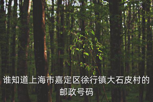 誰知道上海市嘉定區徐行鎮大石皮村的郵政號碼