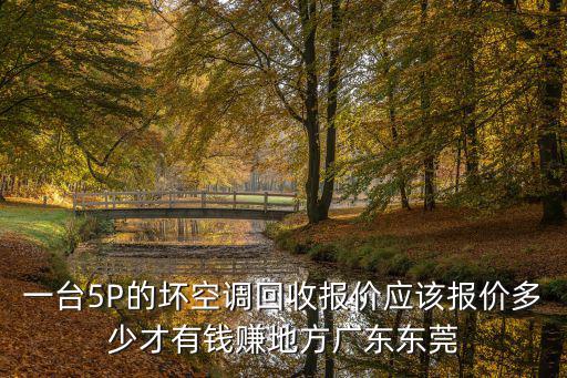 一臺5P的壞空調回收報價應該報價多少才有錢賺地方廣東東莞