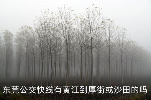 東莞快線15換路線了嗎，東莞快線15路多久一趟