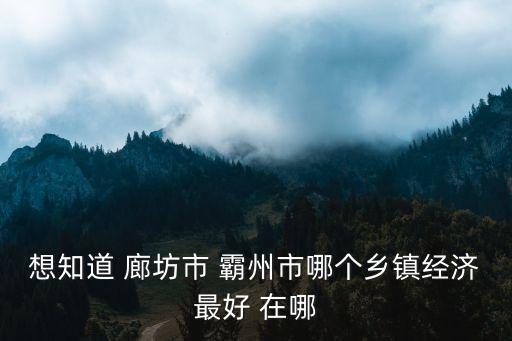 想知道 廊坊市 霸州市哪個鄉鎮經濟最好 在哪