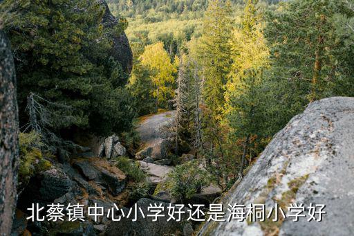 北蔡鎮中心小學好還是海桐小學好