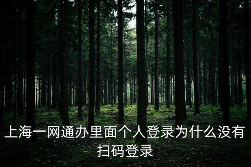 上海一網通辦里面個人登錄為什么沒有掃碼登錄