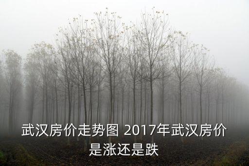 武漢房價走勢圖 2017年武漢房價是漲還是跌