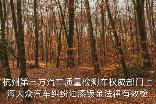 杭州第三方汽車質(zhì)量檢測車權(quán)威部門上海大眾汽車糾紛油漆鈑金法律有效檢
