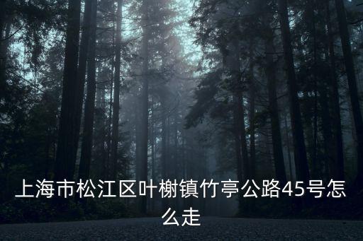 上海市松江區(qū)葉榭鎮(zhèn)竹亭公路45號(hào)怎么走