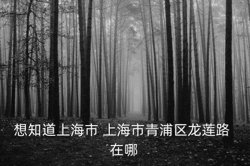 想知道上海市 上海市青浦區龍蓮路 在哪