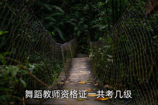 舞蹈教師資格證一共考幾級