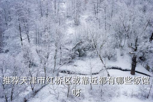 推薦天津市紅橋區或靠近都有哪些飯館呀